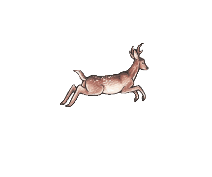 Running Deer