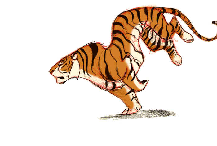 Running Tiger